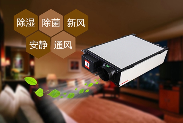 為什么冷庫除濕機會出現結霜的情況？