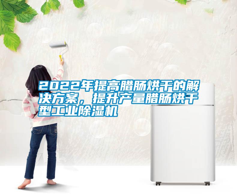 2022年提高臘腸烘干的解決方案，提升產量臘腸烘干型工業除濕機