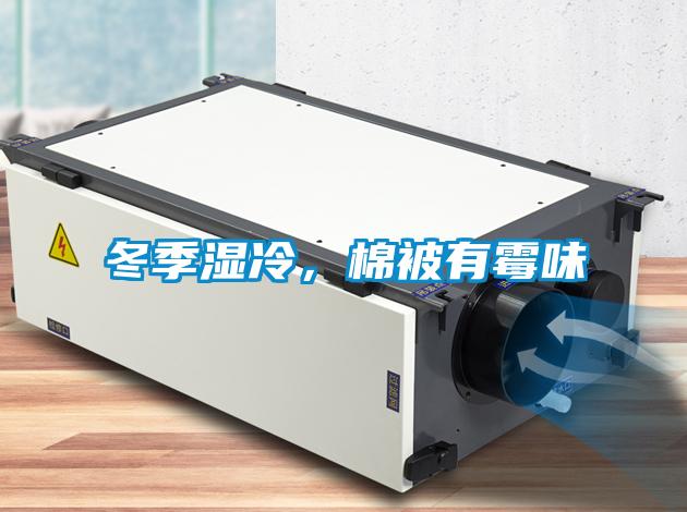 冬季濕冷，棉被有霉味