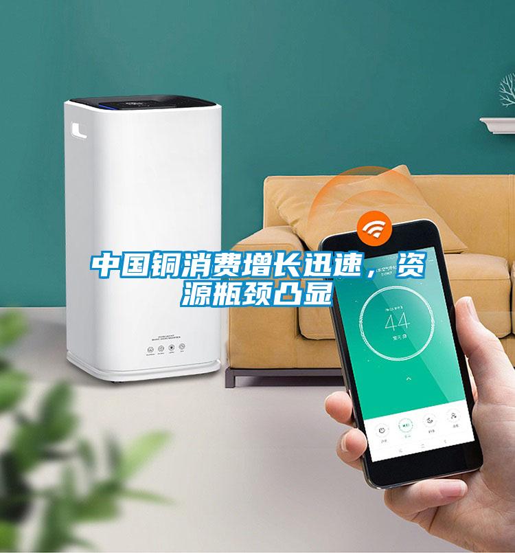 中國銅消費增長迅速，資源瓶頸凸顯