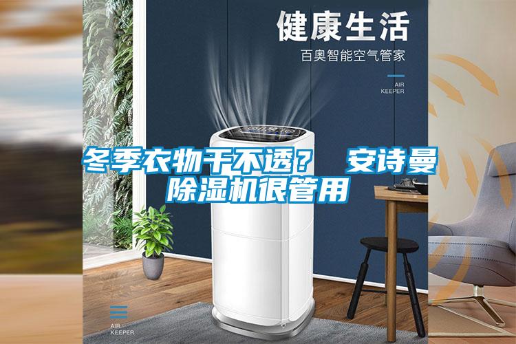 冬季衣物干不透？ 安詩曼除濕機很管用