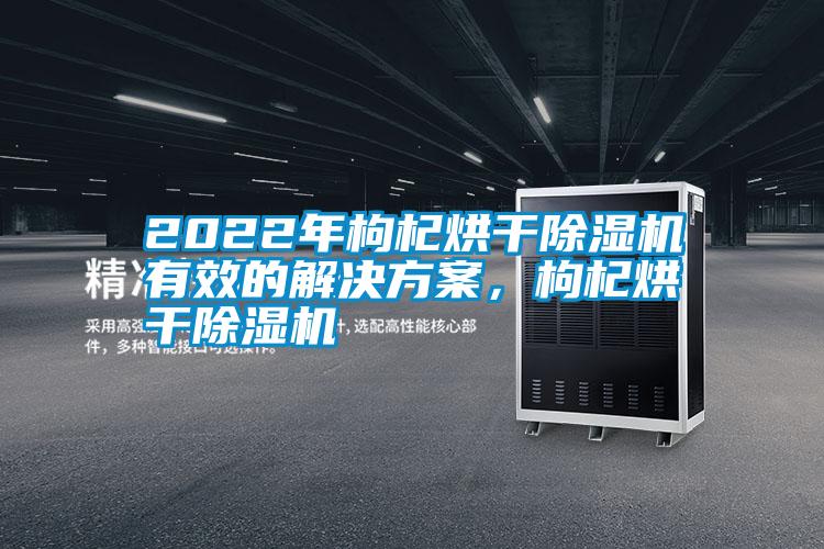 2022年枸杞烘干除濕機有效的解決方案，枸杞烘干除濕機