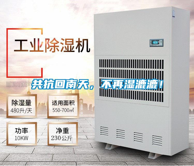 共抗回南天，不再濕漉漉！