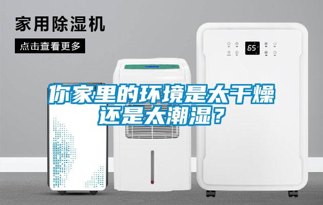 你家里的環境是太干燥還是太潮濕？