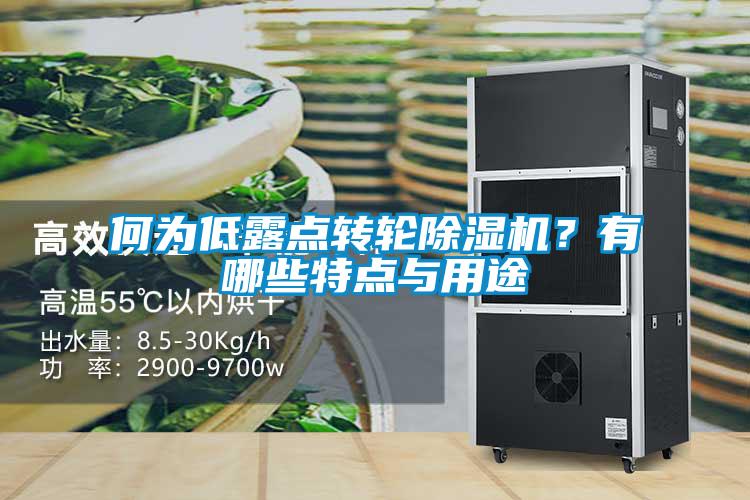 何為低露點轉輪除濕機？有哪些特點與用途