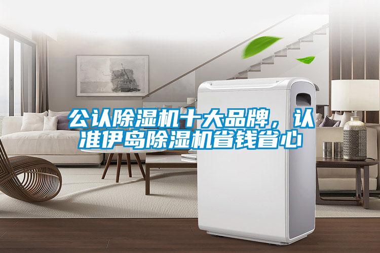 公認除濕機十大品牌，認準伊島除濕機省錢省心