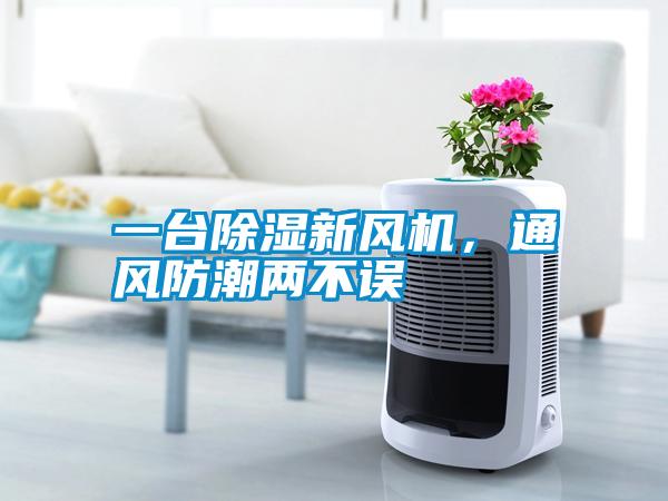 一臺除濕新風機，通風防潮兩不誤