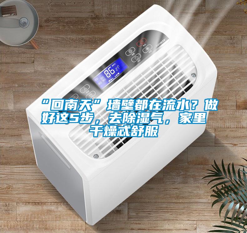 “回南天”墻壁都在流水？做好這5步，去除濕氣，家里干燥忒舒服