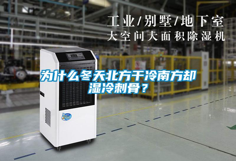 為什么冬天北方干冷南方卻濕冷刺骨？