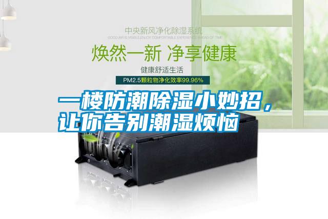 一樓防潮除濕小妙招，讓你告別潮濕煩惱