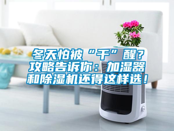 冬天怕被“干”醒？攻略告訴你：加濕器和除濕機還得這樣選！