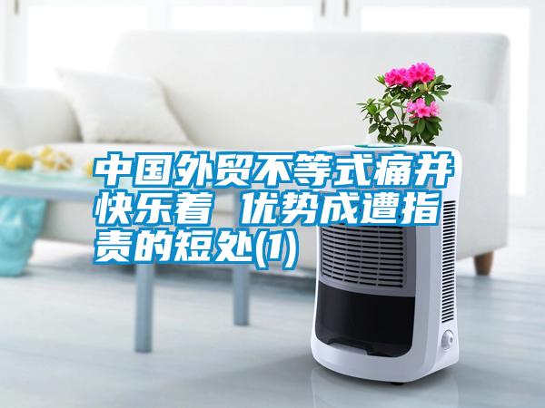 中國外貿(mào)不等式痛并快樂著 優(yōu)勢成遭指責(zé)的短處(1)