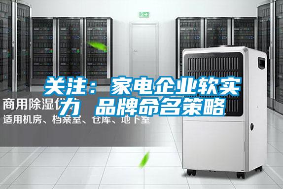關注：家電企業軟實力 品牌命名策略