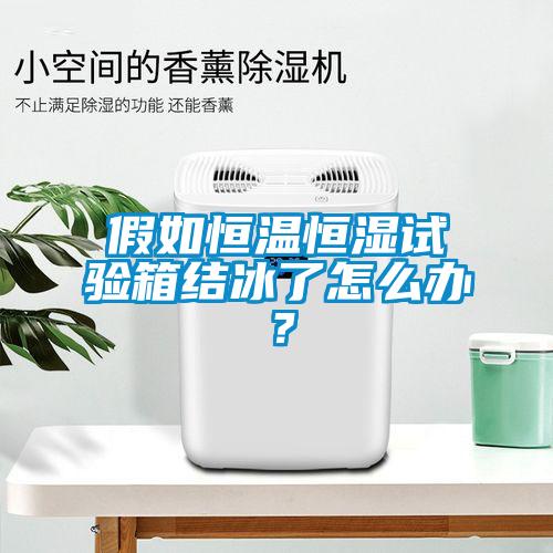 假如恒溫恒濕試驗箱結(jié)冰了怎么辦？