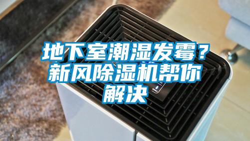 地下室潮濕發(fā)霉？新風除濕機幫你解決