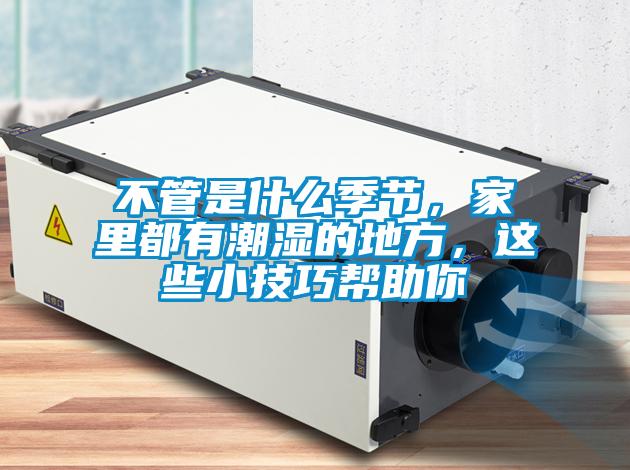 不管是什么季節，家里都有潮濕的地方，這些小技巧幫助你