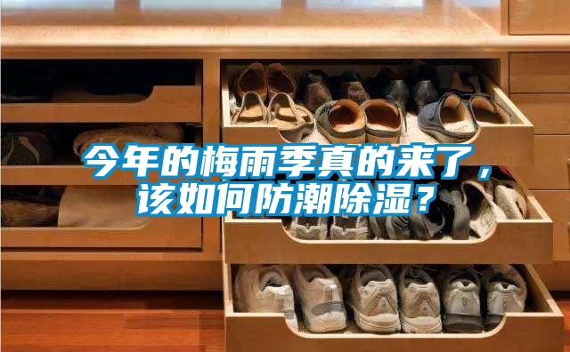 今年的梅雨季真的來(lái)了，該如何防潮除濕？
