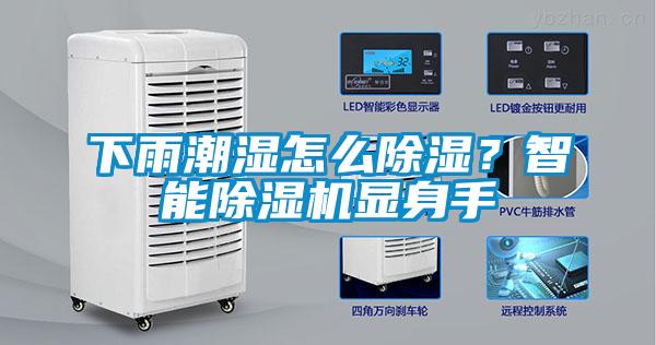 下雨潮濕怎么除濕？智能除濕機顯身手