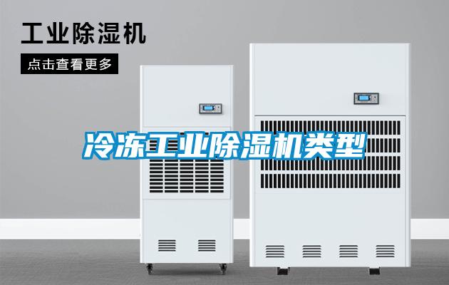 冷凍工業除濕機類型