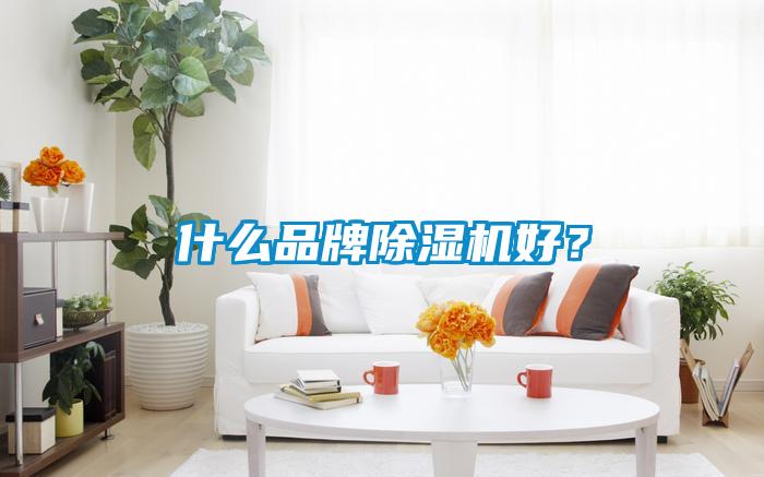什么品牌除濕機好？