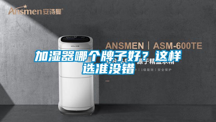 加濕器哪個牌子好？這樣選準沒錯