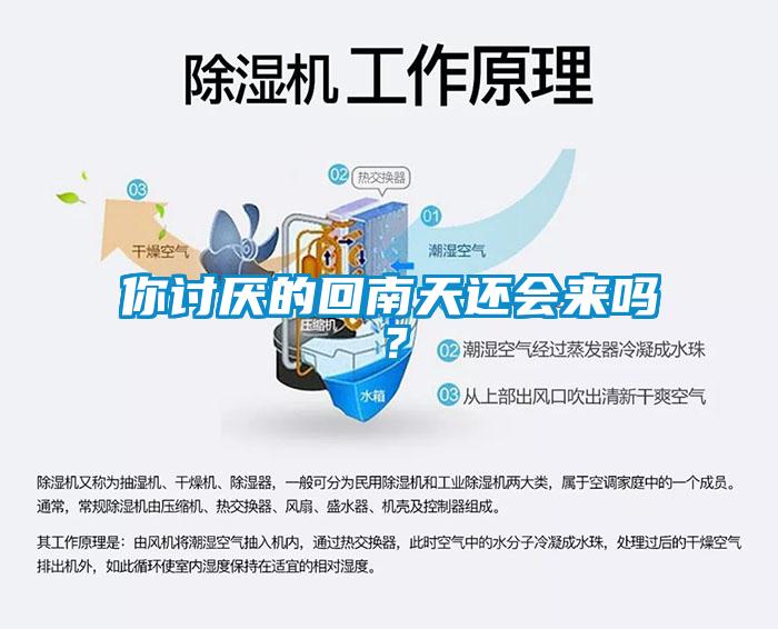 你討厭的回南天還會來嗎？