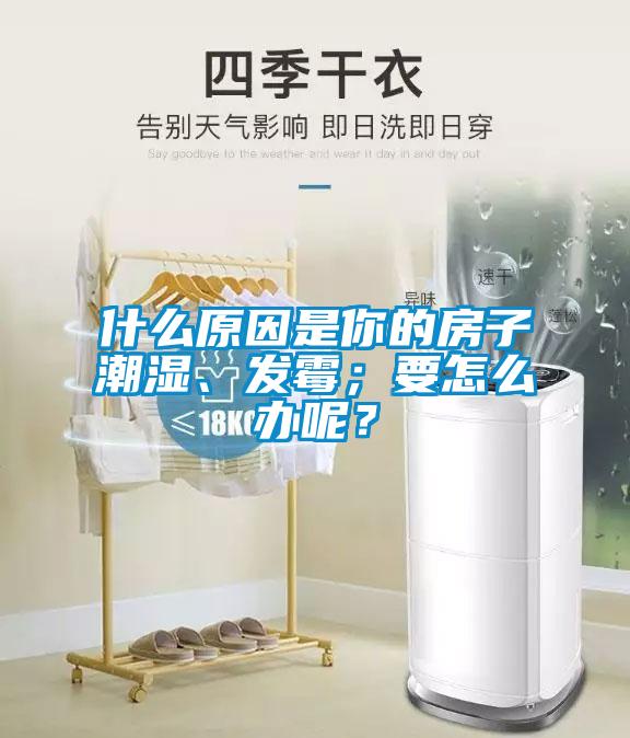 什么原因是你的房子潮濕、發霉；要怎么辦呢？