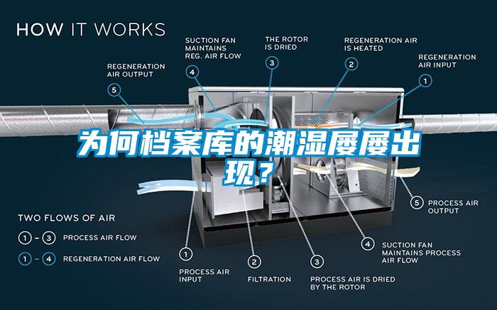 為何檔案庫的潮濕屢屢出現？