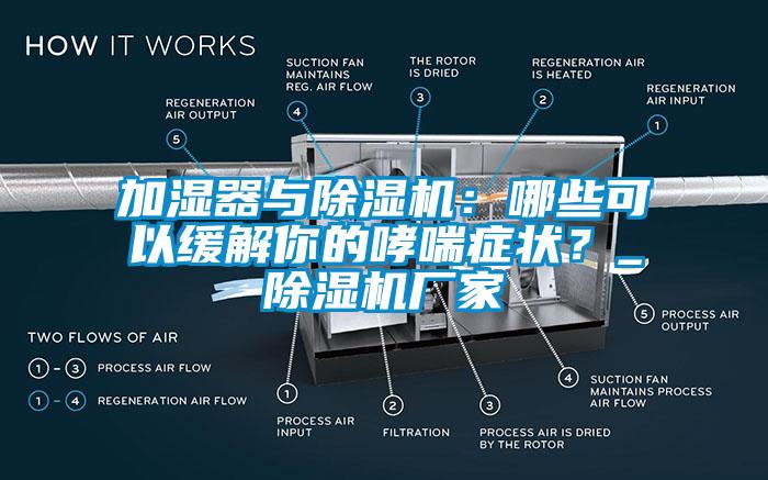 加濕器與除濕機(jī)：哪些可以緩解你的哮喘癥狀？_除濕機(jī)廠(chǎng)家