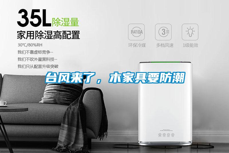 臺風來了，木家具要防潮