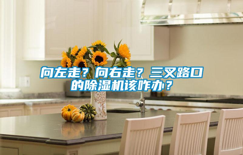 向左走？向右走？三叉路口的除濕機該咋辦？