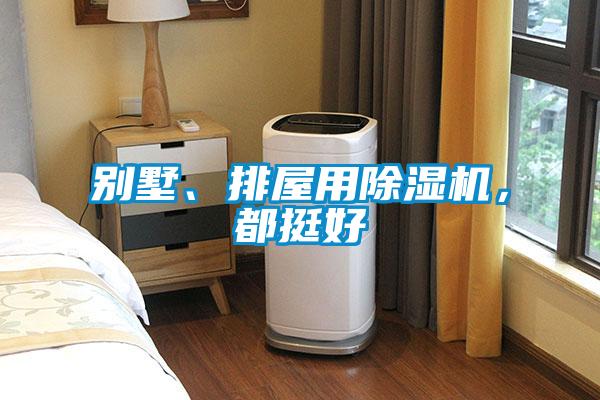 別墅、排屋用除濕機，都挺好