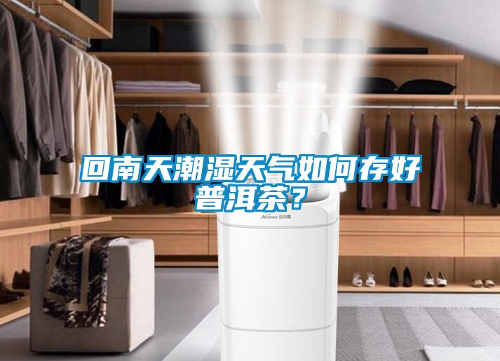 回南天潮濕天氣如何存好普洱茶？
