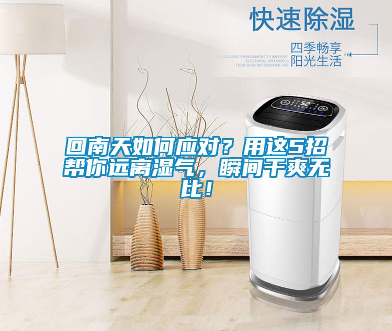 回南天如何應(yīng)對(duì)？用這5招幫你遠(yuǎn)離濕氣，瞬間干爽無(wú)比！