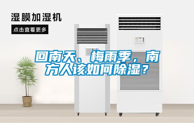 回南天、梅雨季，南方人該如何除濕？