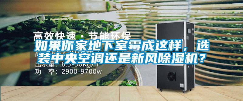 如果你家地下室霉成這樣，選裝中央空調還是新風除濕機？