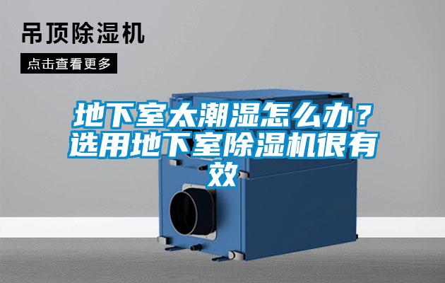 地下室太潮濕怎么辦？選用地下室除濕機(jī)很有效