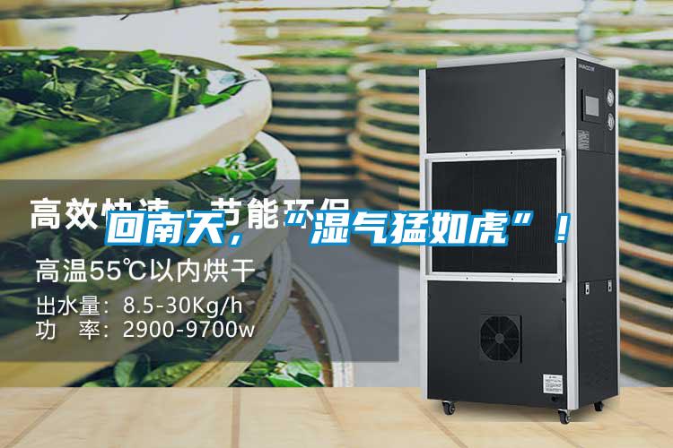 回南天，“濕氣猛如虎”！