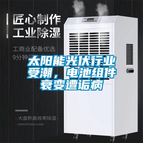 太陽能光伏行業受潮，電池組件衰變遭詬病