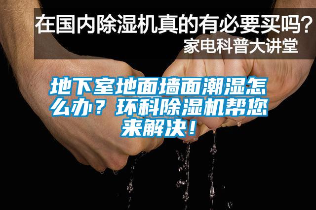 地下室地面墻面潮濕怎么辦？環(huán)科除濕機(jī)幫您來解決！