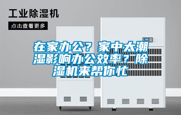 在家辦公？家中太潮濕影響辦公效率？除濕機來幫你忙