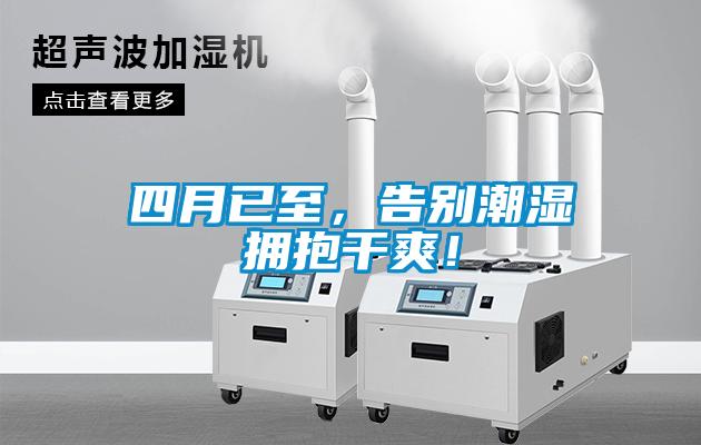 四月已至，告別潮濕擁抱干爽！