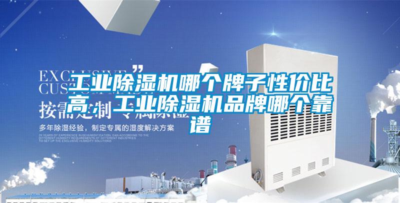 工業(yè)除濕機(jī)哪個(gè)牌子性價(jià)比高，工業(yè)除濕機(jī)品牌哪個(gè)靠譜