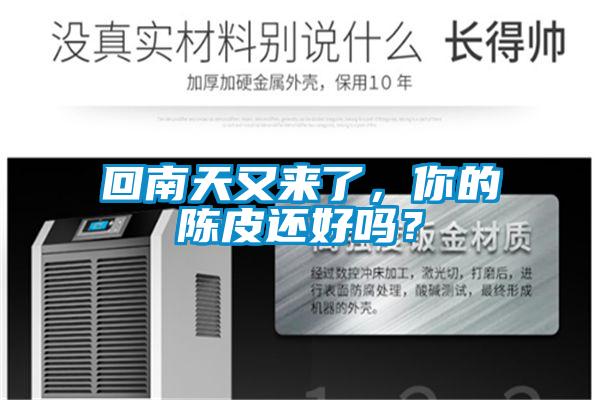 回南天又來了，你的陳皮還好嗎？