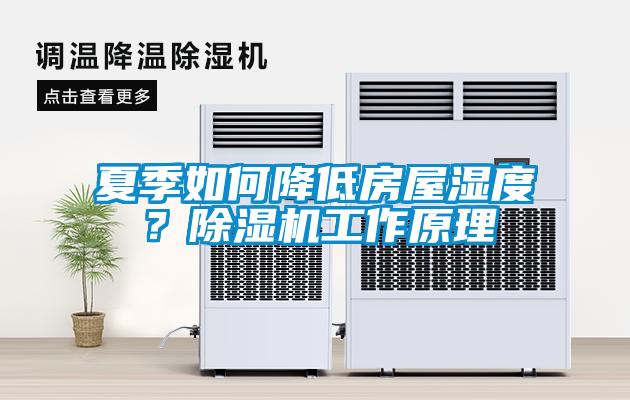 夏季如何降低房屋濕度？除濕機工作原理