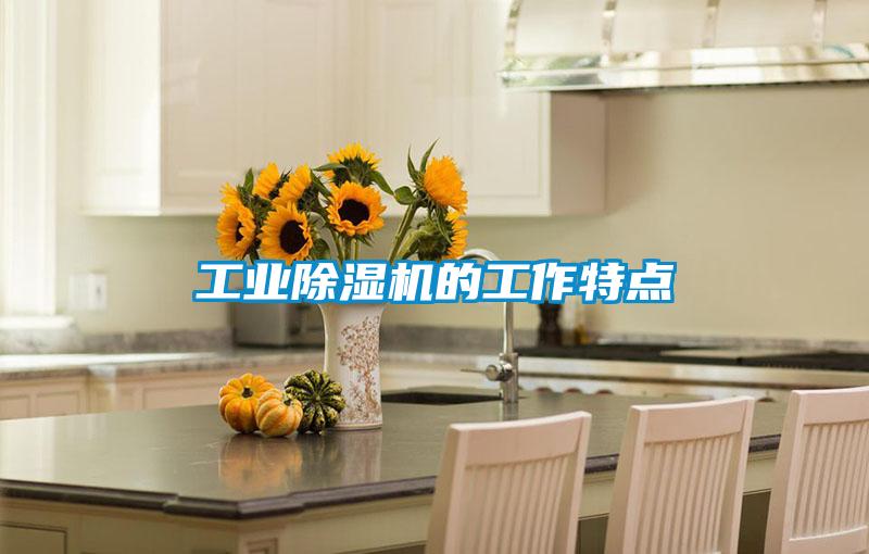工業除濕機的工作特點