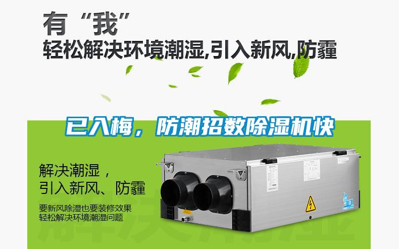 已入梅，防潮招數(shù)除濕機快