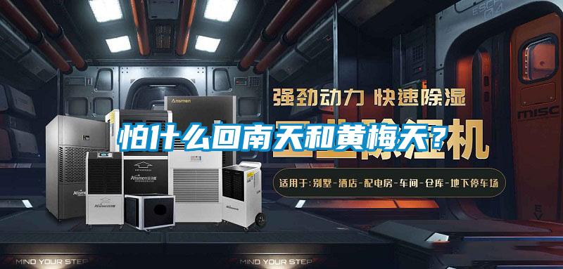 怕什么回南天和黃梅天？