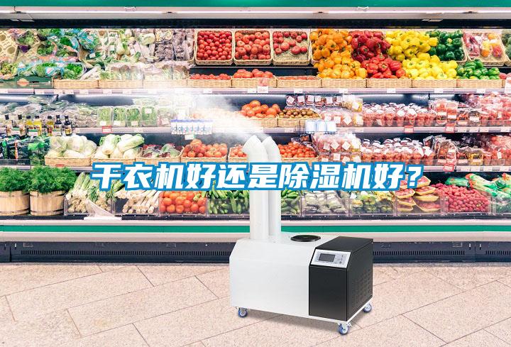 干衣機好還是除濕機好？