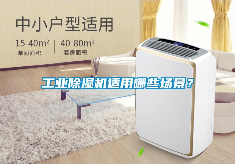 工業除濕機適用哪些場景？